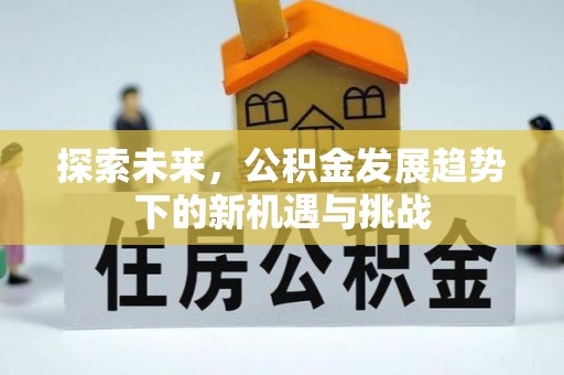 井陉矿区探索未来，公积金发展趋势下的新机遇与挑战